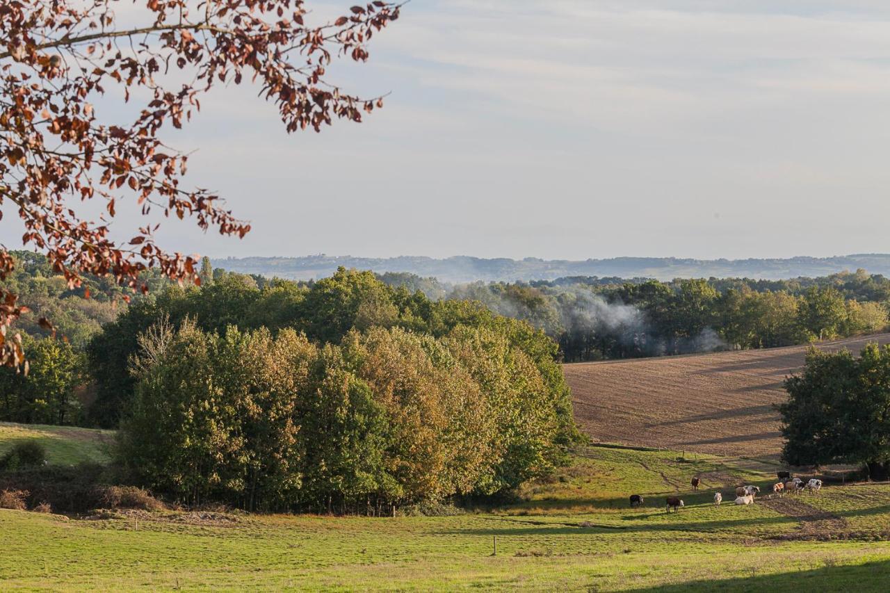 Guest House Cosy Au Portes De Bergerac Ginestet ภายนอก รูปภาพ